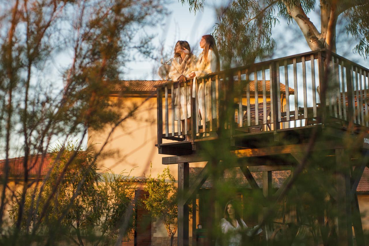 Tenuta Dei Principi มารีนาดีกรอซเซโต ภายนอก รูปภาพ